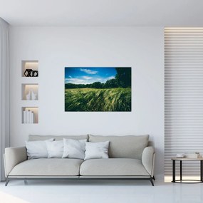 Tablou cu linca și pădure (90x60 cm)