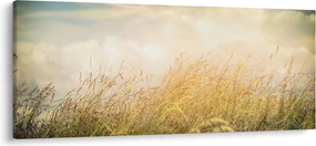Tablou - Câmp toamna (120x50 cm)