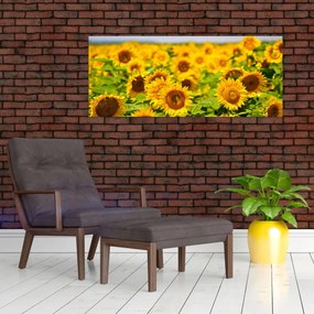 Tablou - Floarea-soarelui (120x50 cm)