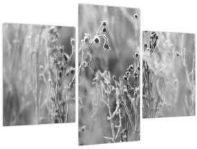 Tablou - Pajiște sălbatică (90x60 cm)