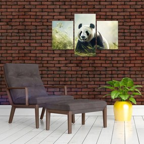 Tablou - Panda (90x60 cm)