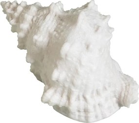 Lampa de masa in forma de melc , din rășină si pulbere de piatra, "Shell"