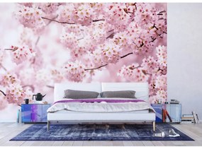 Fototapetă non-tessuta XXL Sakura 360 x 254 cm, 4părți
