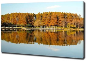 Pictură pe pânză Lake forest