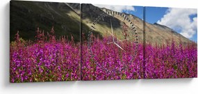 Tablou sceneriei cu lunca montană (cu ceas) (90x30 cm)