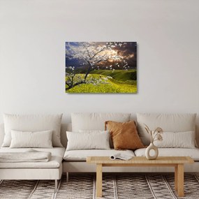 Tablou pe sticlă - Peisaj cu pomul înflorit (70x50 cm)