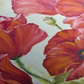 Tablou - Mac - flori (70x50 cm)