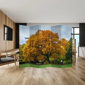 Paravan - Copac (210x170 cm)