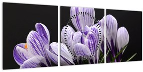 Tablou - Crocus violet (cu ceas) (90x30 cm)