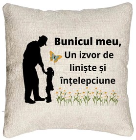 Perna Decorativa Canapea pentru Bunicul 5, 40x40 cm, Cu fermoar