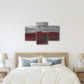 Tablou cu maci (90x60 cm)