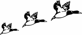 Decoratiuni perete DUCKS - 290, negru, metal