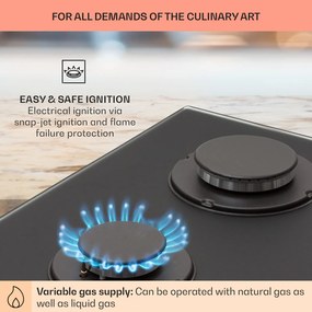 Firetale, plită cu gaz, 2 arzătoare, arzătoare din aluminiu, gaz natural/propan, inclusiv furtun și reductor de presiune