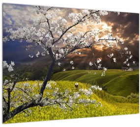 Tablou pe sticlă - Peisaj cu pomul înflorit (70x50 cm)