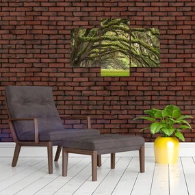 Tablou - Oaks Avenue, Charleston, Carolina de Sud, SUA (90x60 cm)