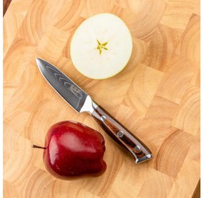 Gudaro - Cuțit de bucătărie din oțel Damasc FENG 3,5", 67 de straturi de oțel, lungime 9,5 cm