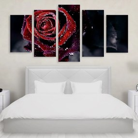 Tablou Multicanvas 5 Piese Water Rose 250x120 cm