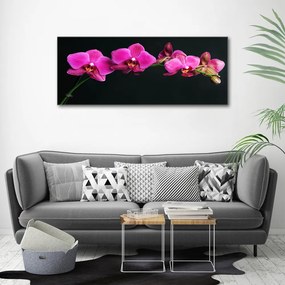 Tablou canvas Orhidee