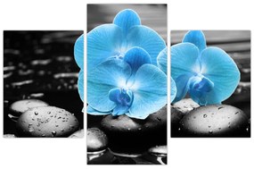 Tablou - Orhidee albastră (90x60 cm)