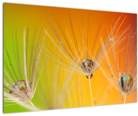 Tablou cu picături pe plantă (90x60 cm)