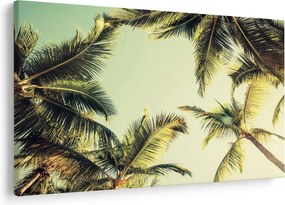 Tablou - Palmieri de cocos (90x60 cm)