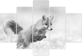 Tablou - Vulpe care sare,alb-negru (150x105 cm)