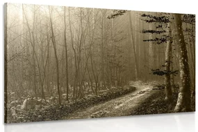 Tablou cărare sepia spre pădure