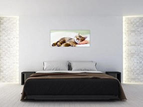 Tablou - Pisicuța adormită (120x50 cm)