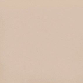 Cadru de pat cu tablie, cappuccino, 120x200 cm, piele ecologica Cappuccino, 120 x 200 cm, Culoare unica si cuie de tapiterie