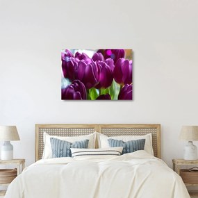 Tablou pe sticlă cu lalele (70x50 cm)