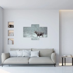 Tablou - Elan într-o pădure înzăpezită (90x60 cm)