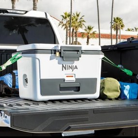 Lada frigorifica Ninja FrostVault FB151EUWH, 47 l, Pasiva, 80 doze, Pastreaza gheata pana la 6 zile, Compartiment uscat, Alba