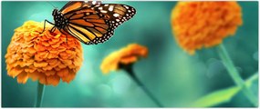 Tablou cu fluture (120x50 cm)