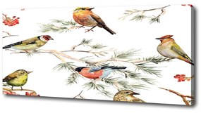 Tablou pe pânză canvas Plante forest păsări