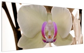 Tabllou cu orhidee (120x50 cm), în 40 de alte dimensiuni noi
