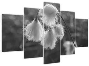 Tablou - Iarba de bumbac (150x105 cm)