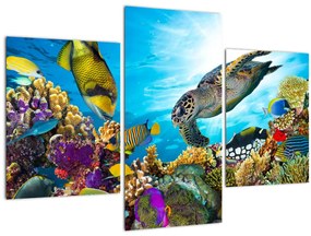 Tablou - Recif de corali (90x60 cm)