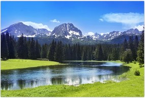 Tablou - vâfurile montane înzăpezite (90x60 cm)