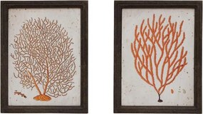 Set 2 tablouri, Coral