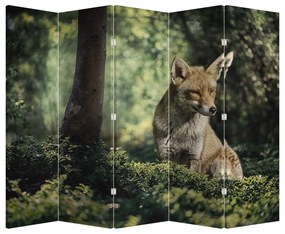 Paravan - Vulpe (210x170 cm)