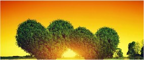 Tablou - Inima în coroanele copacilor (120x50 cm)