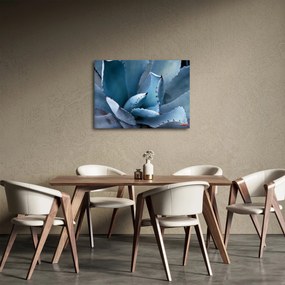 Tablou - Agave (70x50 cm)