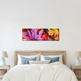 Tablou - frunze de toamnă (cu ceas) (90x30 cm)