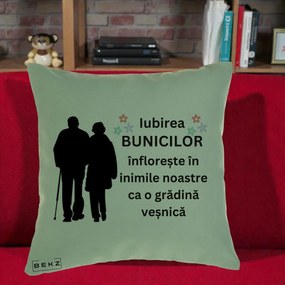 Cadou pentru Bunici - Perna Personalizata Bunicii Iubirea Infloreste Silueta Neagra Flori, 40x40 cm, Verde, Husa Detasabila, Perna Inclusa, BEKZ®