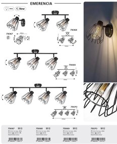 Plafoniera stil industrial Emerencia 2L