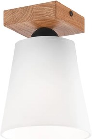 Lustră aplicată LULA 1xE27/60W/230V stejar