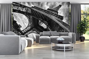 Fototapet - Paris (254x184 cm)