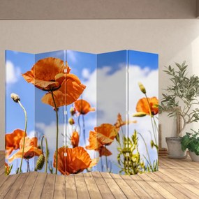 Paravan - Macii (210x170 cm)