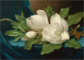 Tablou - Martin Johnson Heade, Giant Magnolias on a Blue Velvet Cloth, reproducere (70x50 cm)