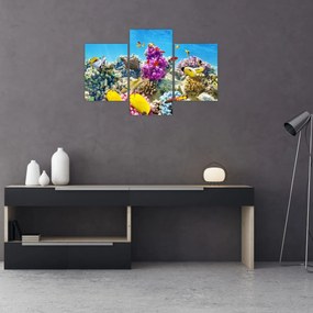 Tablou - Lumea mării (90x60 cm)